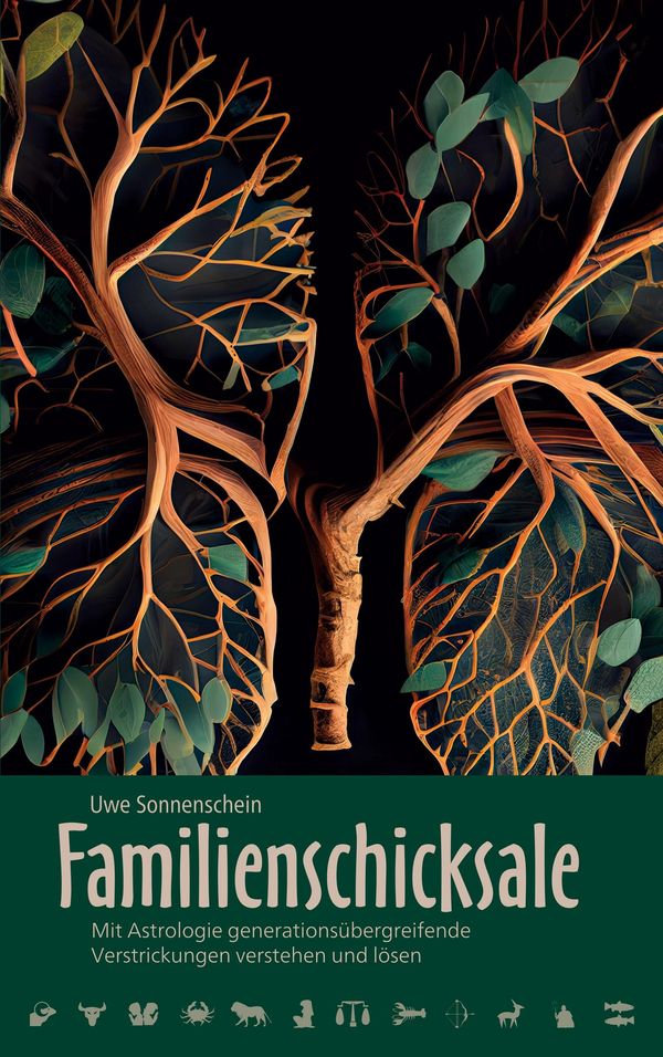 Familienschicksale - Uwe Sonnenschein (Buch)