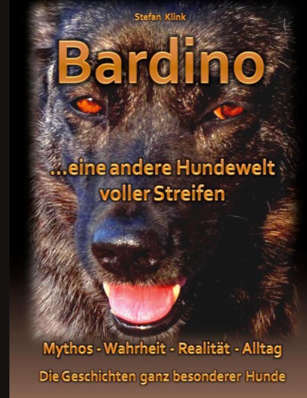 Bardino - Stefan Klink (Buch)
