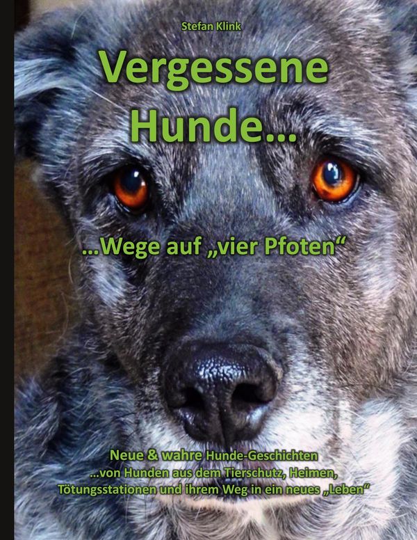 Vergessene Hunde - Stefan Klink (Buch)