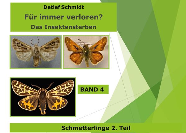 Für immer verloren? - Detlef Schmidt (Buch)