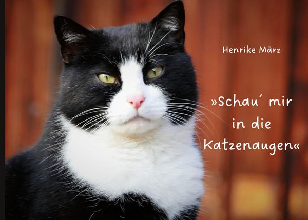 Schau mir in die Katzenaugen - Henrike März (Buch)