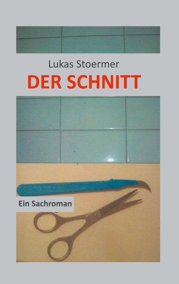 Der Schnitt - Lukas Stoermer (Buch)