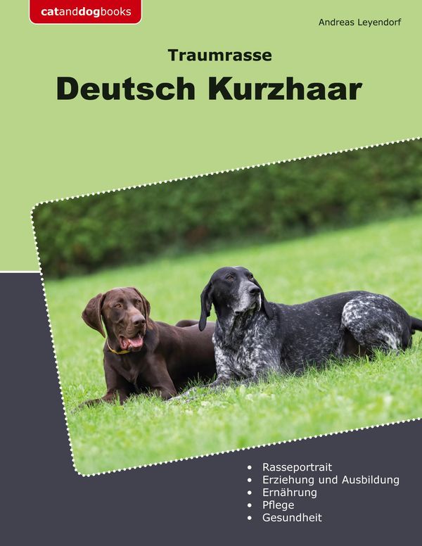 Traumrasse Deutsch Kurzhaar - Andreas Leyendorf (Buch)
