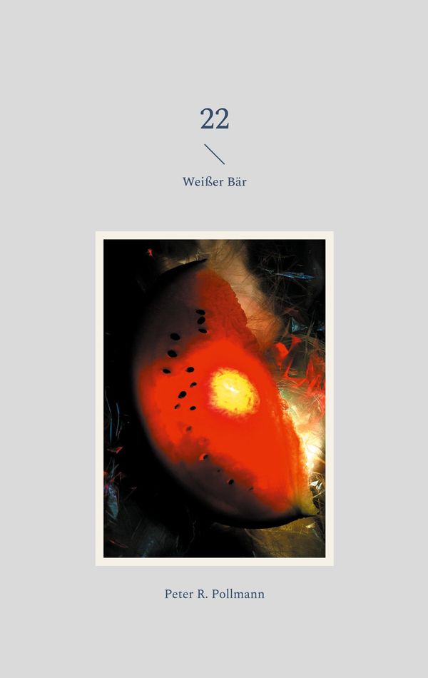 22 - Peter R. Pollmann (Buch)