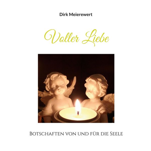 Voller Liebe - Dirk Meierewert (Buch)