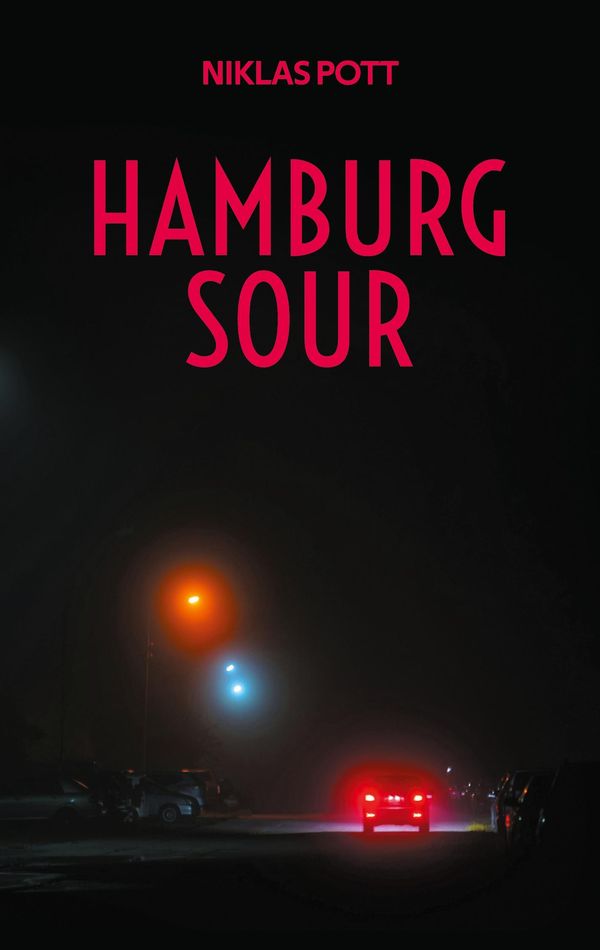 Hamburg Sour - Niklas Pott (Buch)