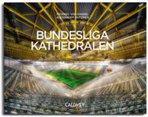 Bundesliga Kathedralen - Alexander Gutzmer (Buch)