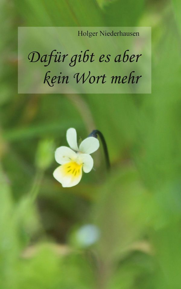 Dafür gibt es aber kein Wort mehr - Holger Niederhausen (Buch)