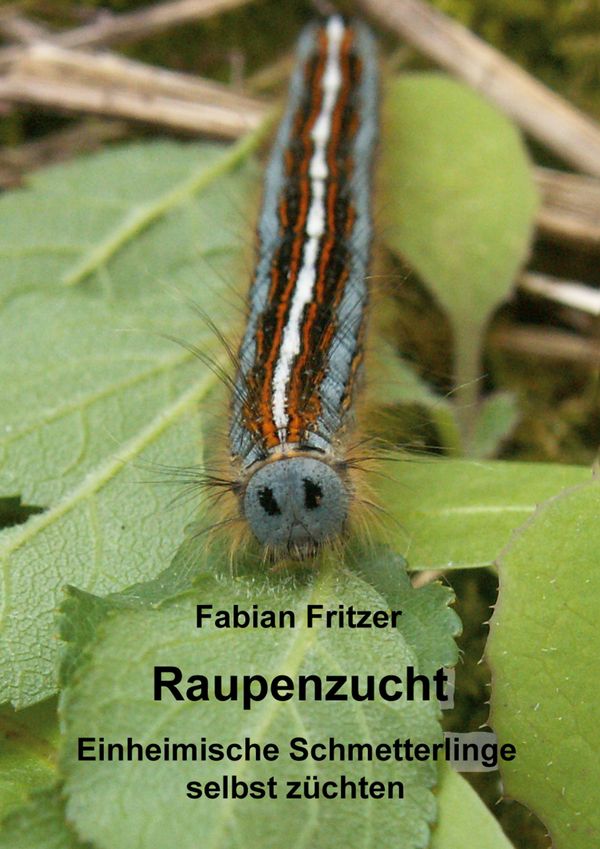 Raupenzucht - Fabian Fritzer (Buch)