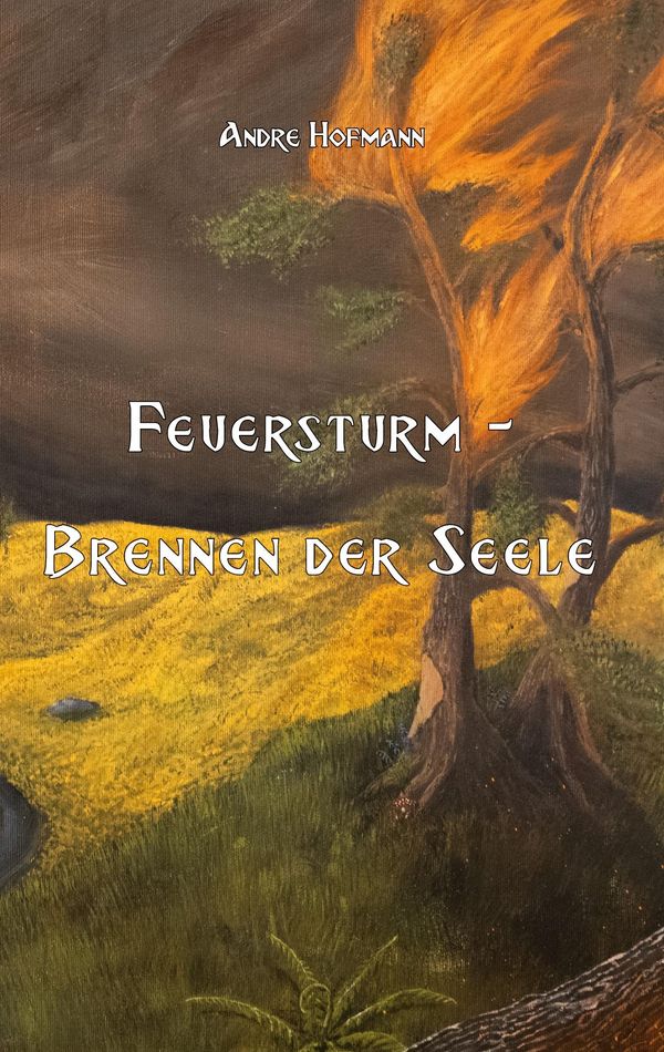 Feuersturm - Andre Hofmann (Buch)