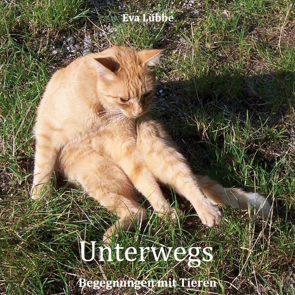 Unterwegs - Eva Lübbe (Buch)