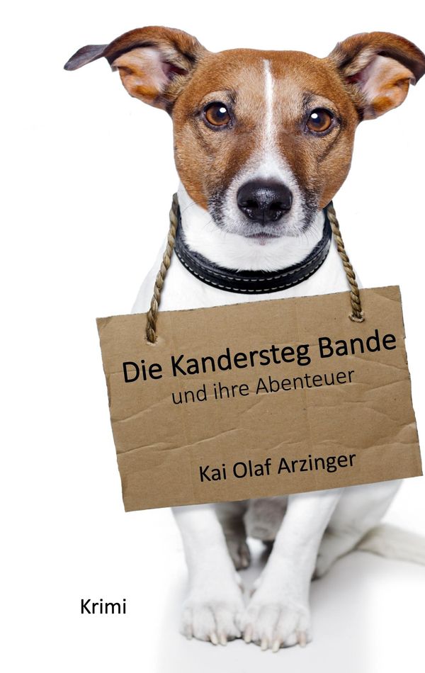 Die Kandersteg Bande - Kai Olaf Arzinger (Buch)