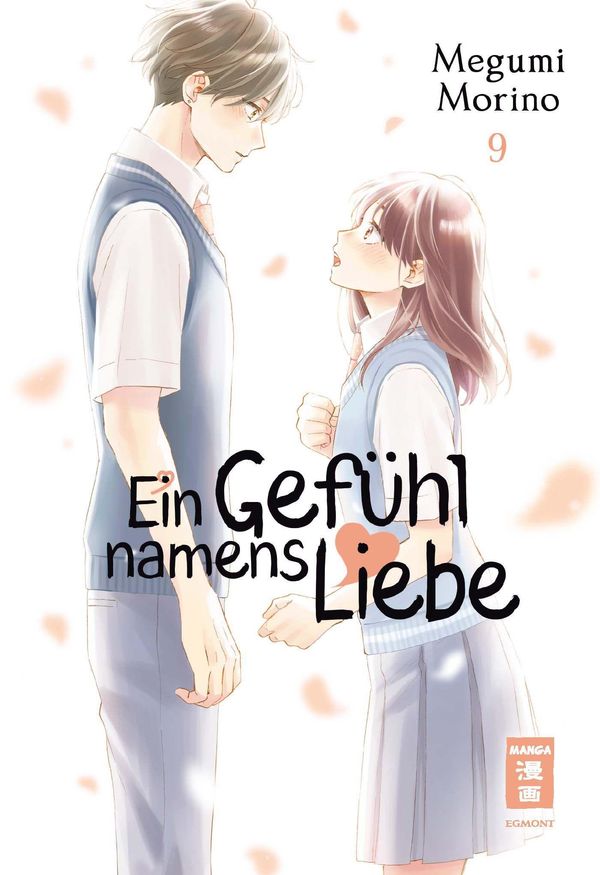 Ein Gefühl namens Liebe 09 - Megumi Morino (Buch)