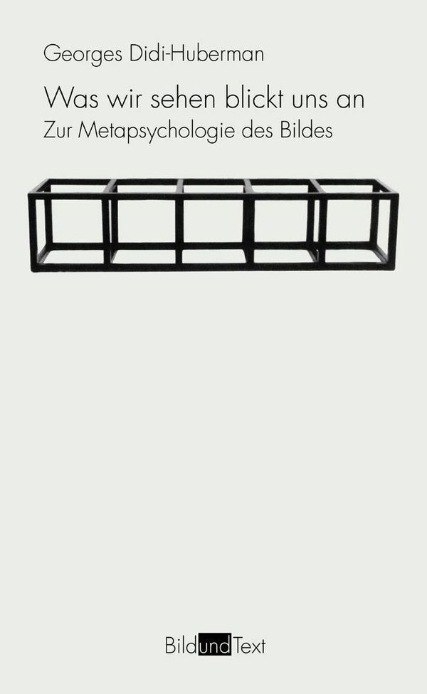 Was wir sehen blickt uns an - Georges Didi-Huberman (Buch)