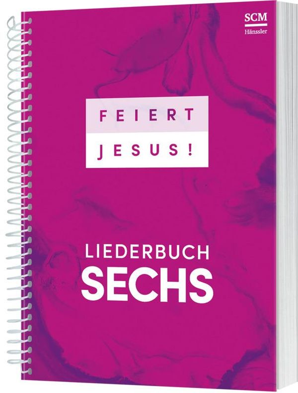 Feiert Jesus! 6 - Ringbuch (Buch)