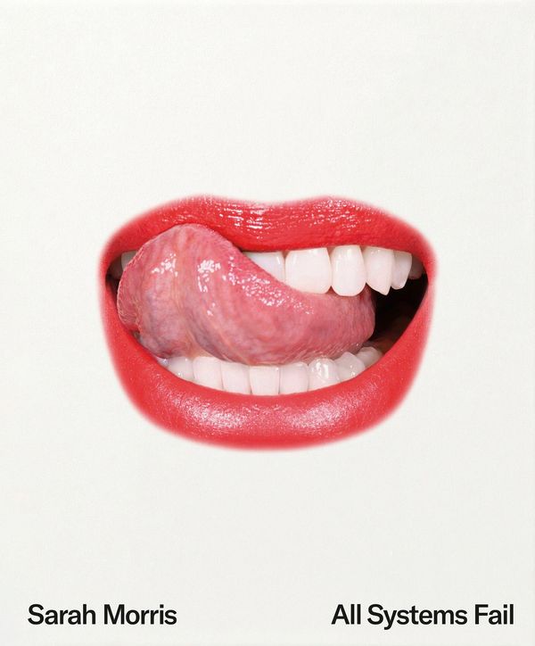 Sarah Morris (Buch)