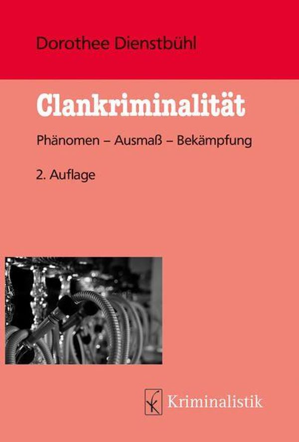 Clankriminalität - Dorothee Dienstbühl (Buch)