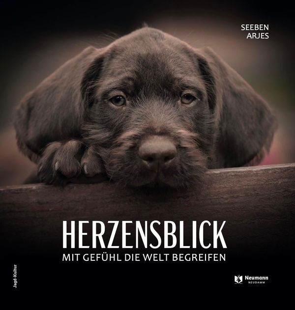 Herzensblick - Seeben Arjes (Buch)
