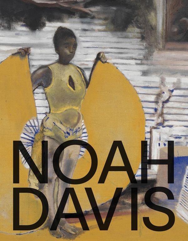 Noah Davis (Buch)