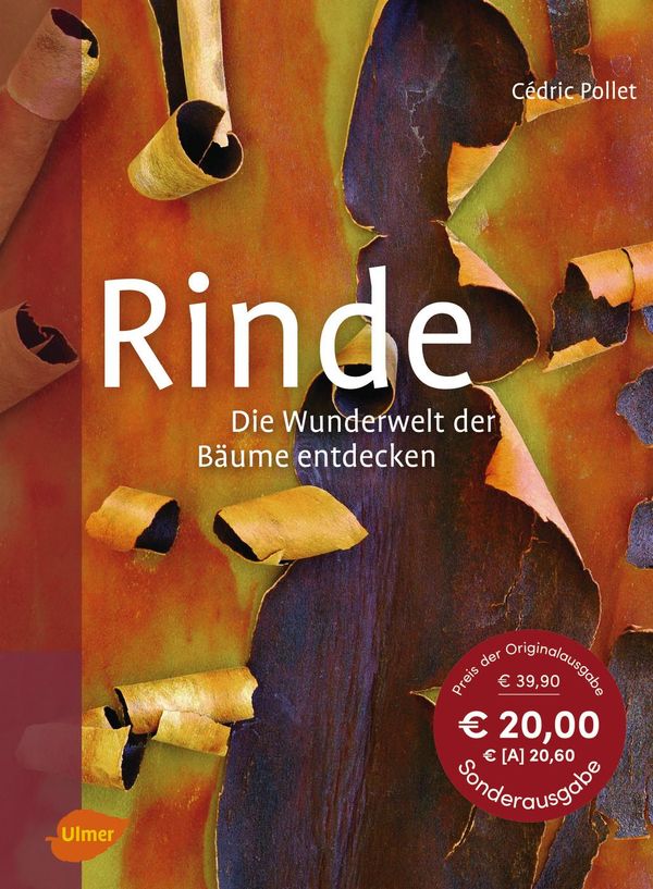 Rinde - Cédric Pollet (Buch)