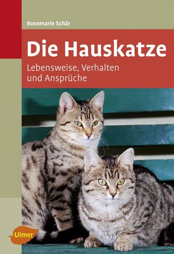 Die Hauskatze - Rosemarie Schär (Buch)