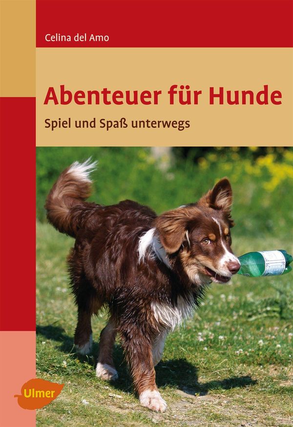 Abenteuer für Hunde - Celina del Amo (Buch)