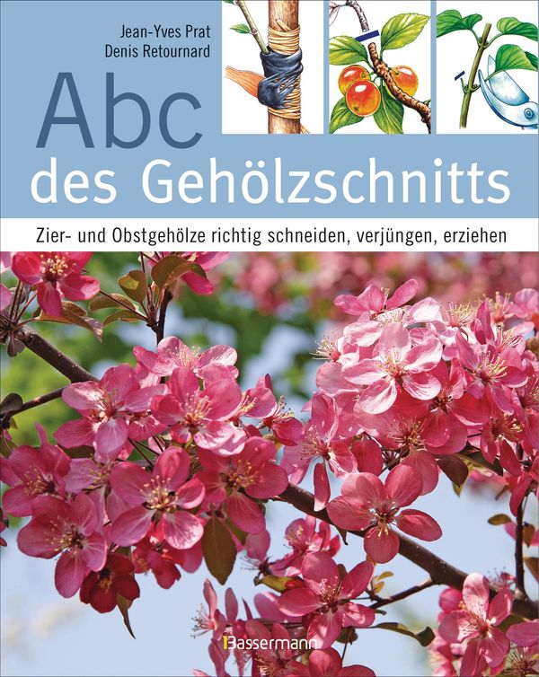 Abc des Gehölzschnitts - Jean-Yves Prat (Buch)