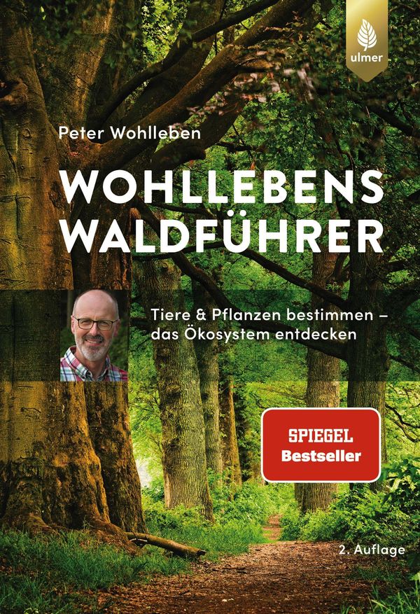 Wohllebens Waldführer - Peter Wohlleben (Buch)