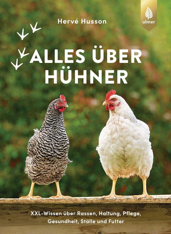 Alles über Hühner - Hervé Husson (Buch)