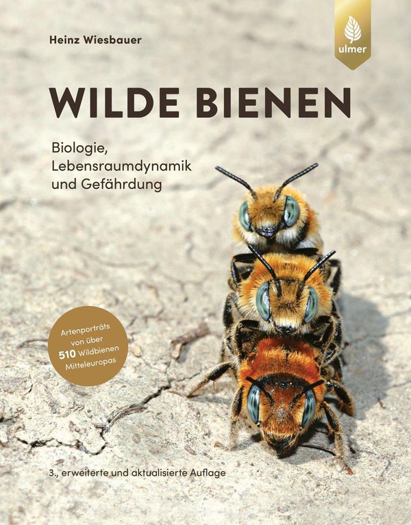 Wilde Bienen - Heinz Wiesbauer (Buch)