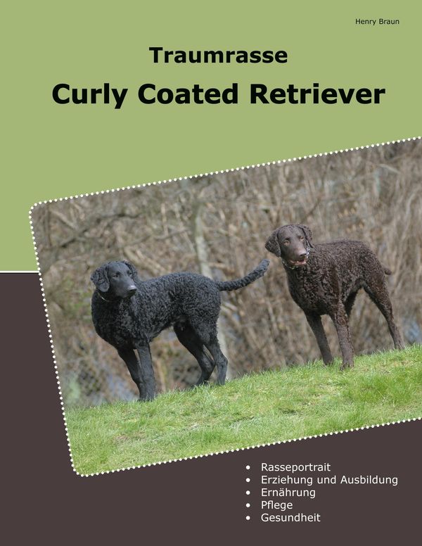 Traumrasse Curly Coated Retriever - Henry Braun (Buch)