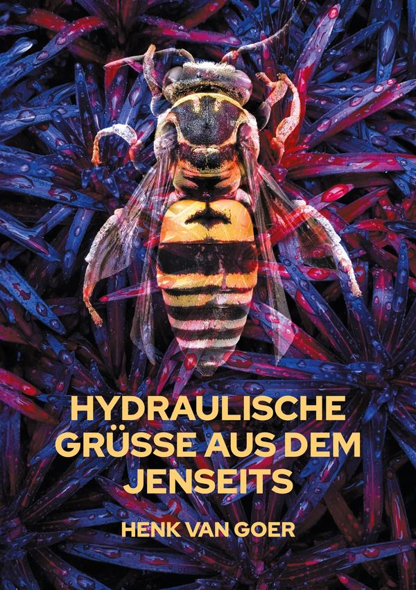 Hydraulische Grüße aus dem Jenseits - Henk van Goer (Buch)