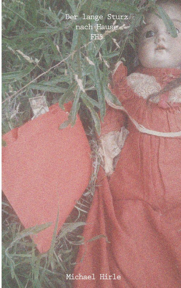 Der lange Sturz nach Hause - Michael Hirle (Buch)