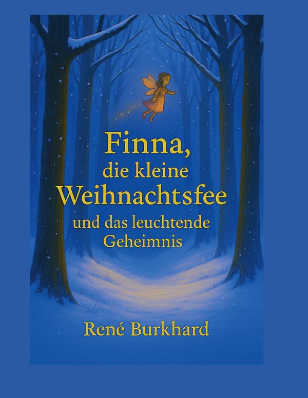 Finna, die kleine Weihnachtsfee und das leuchtende Geheimnis (Buch)
