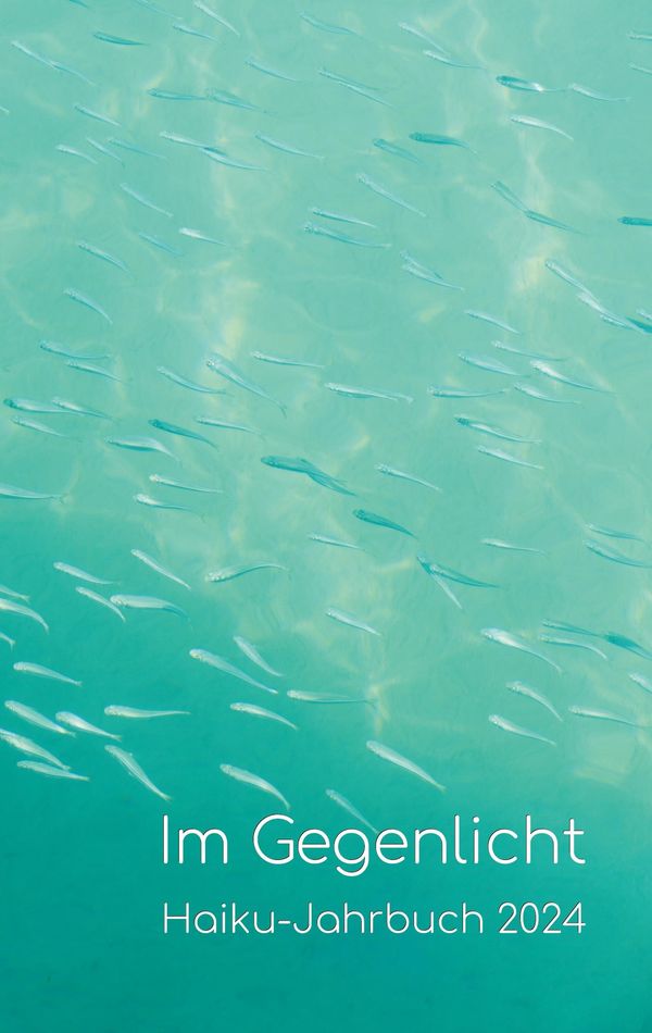 Im Gegenlicht - Volker Friebel (Buch)