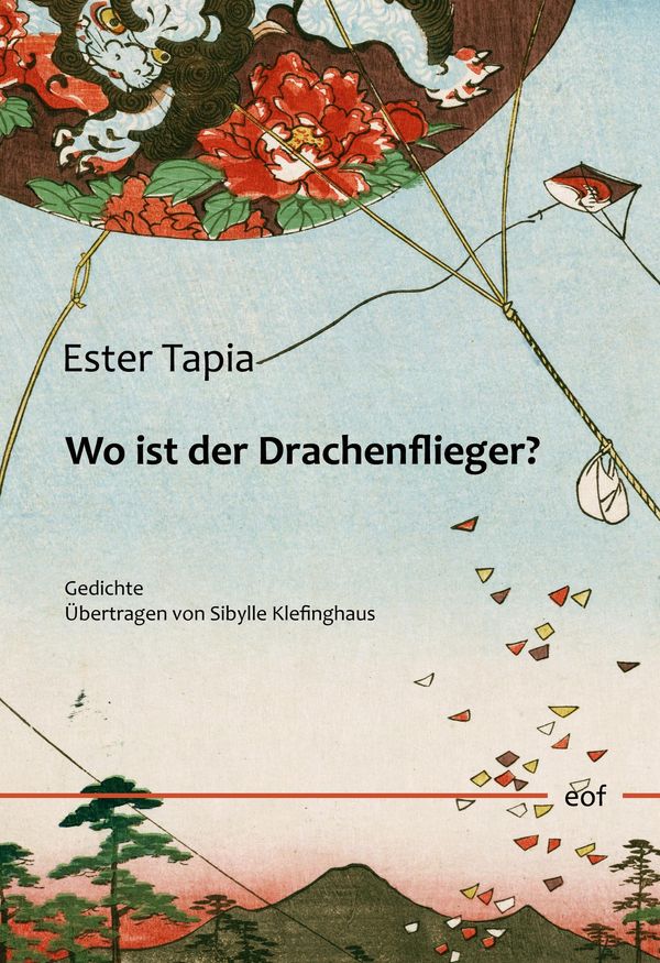 Wo ist der Drachenflieger? - Ester Tapia (Buch)