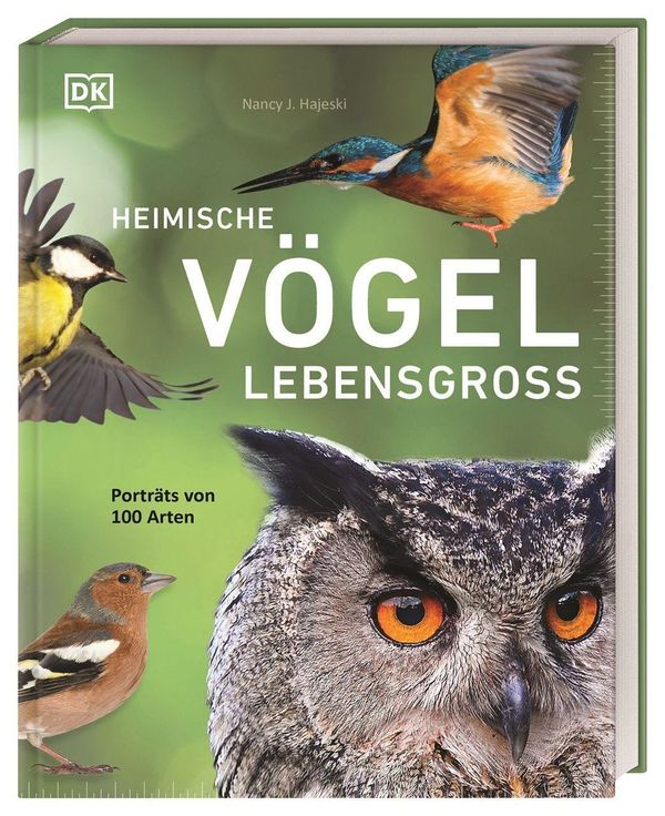 Heimische Vögel lebensgroß - Nancy J. Hajeski (Buch)