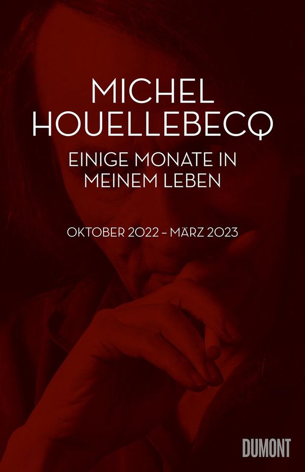 Einige Monate in meinem Leben - Michel Houellebecq (Buch)