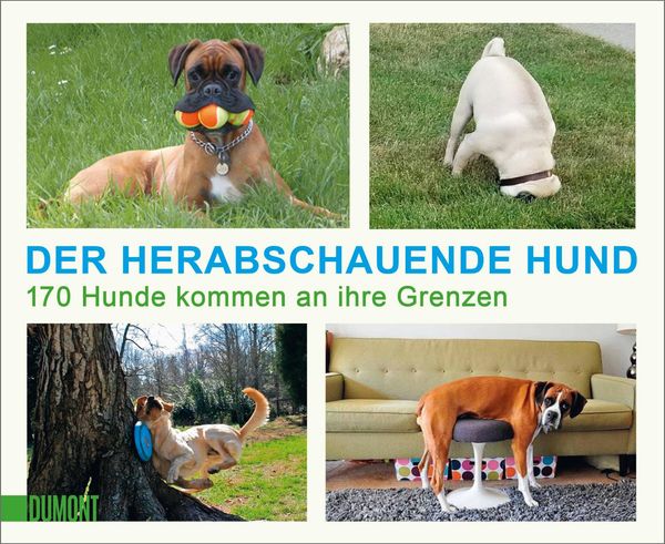 Der herabschauende Hund (Buch)