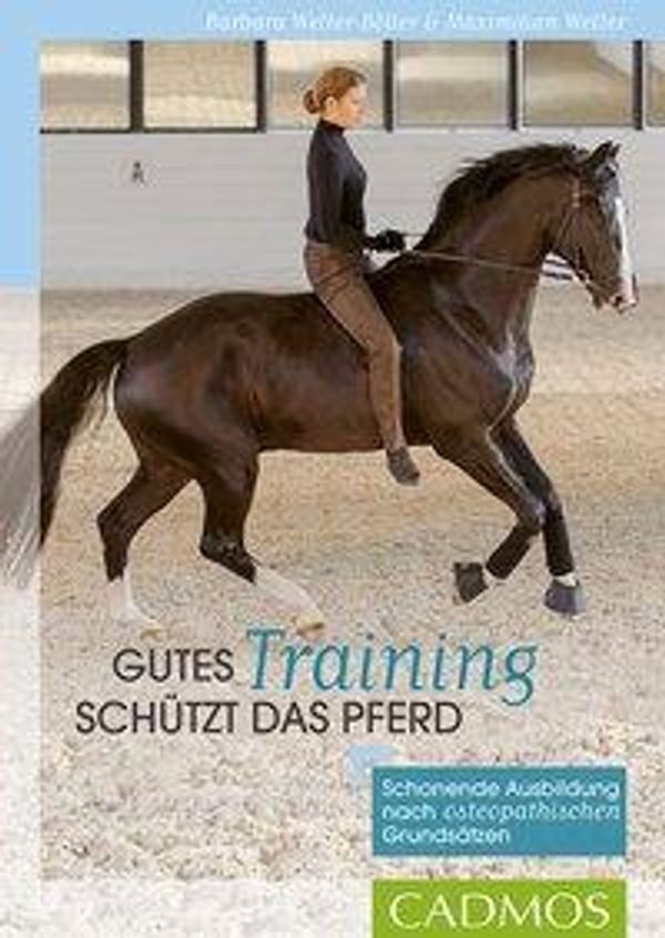 Gutes Training schützt das Pferd - Barbara Welter-Böller (Buch)