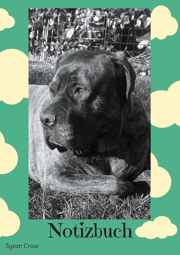 Notizbuch - Syzan Crow (Buch)