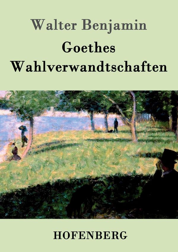 Goethes Wahlverwandtschaften - Walter Benjamin (Buch)