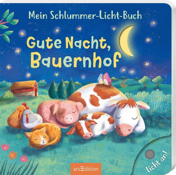 Mein Schlummer-Licht-Buch: Gute Nacht, Bauernhof - Maria Höck (Buch)