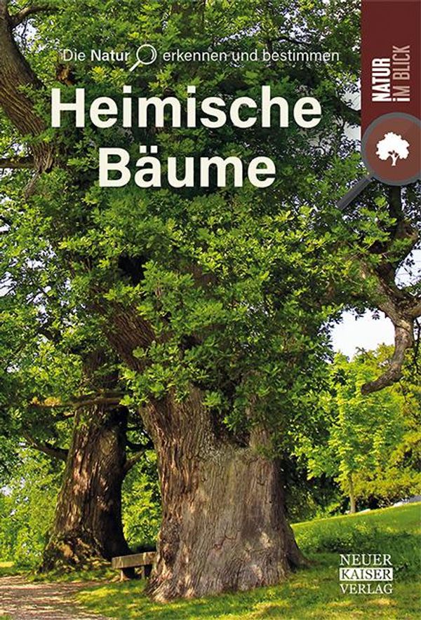 Bäume (Buch)