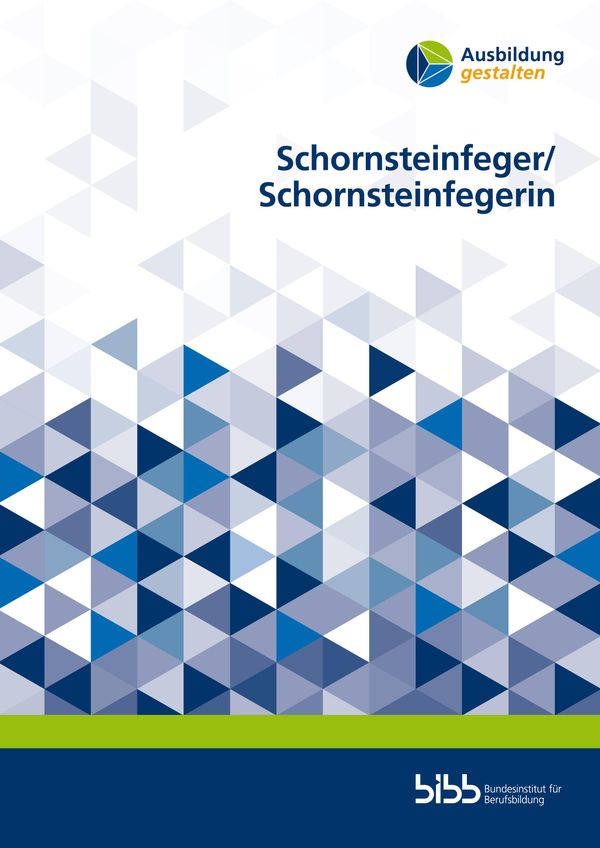 Schornsteinfeger/-in - Harald Meier (Buch)