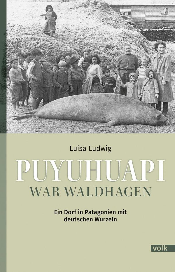Puyuhuapi war Waldhagen - Luisa Ludwig (Buch)