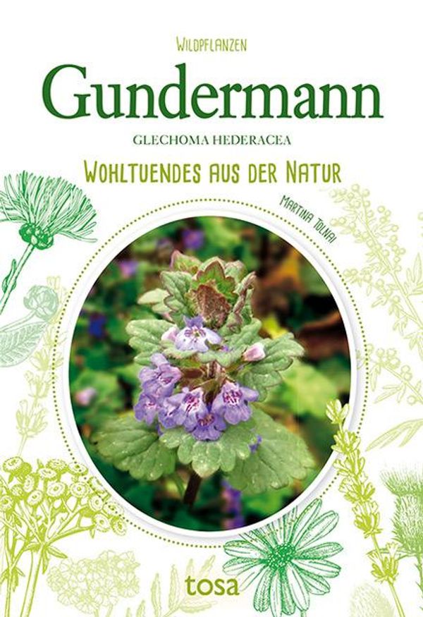 Gundermann - Martina Tolnai (Buch)