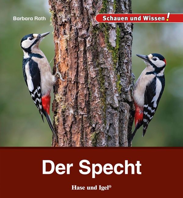 Der Specht - Barbara Rath (Buch)