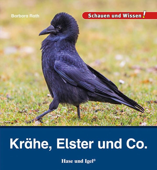 Krähe, Elster und Co. - Barbara Rath (Buch)