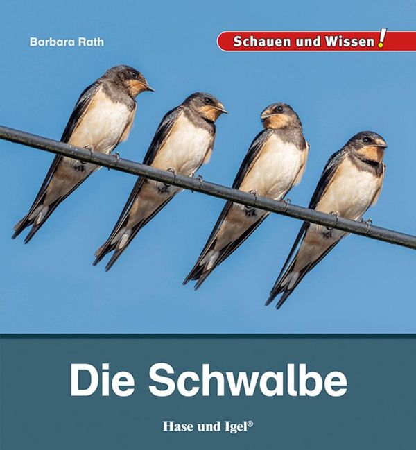 Die Schwalbe - Barbara Rath (Buch)